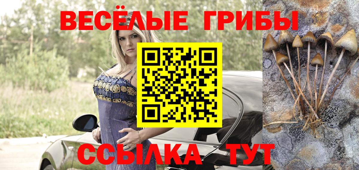 Коломна  Псилоцибиновые грибы мицелий  Вход с VPN 